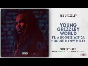 Tee Grizzley - Young Grizzley World Ft. A Boogie Wit Da Hoodie & YNW Melly